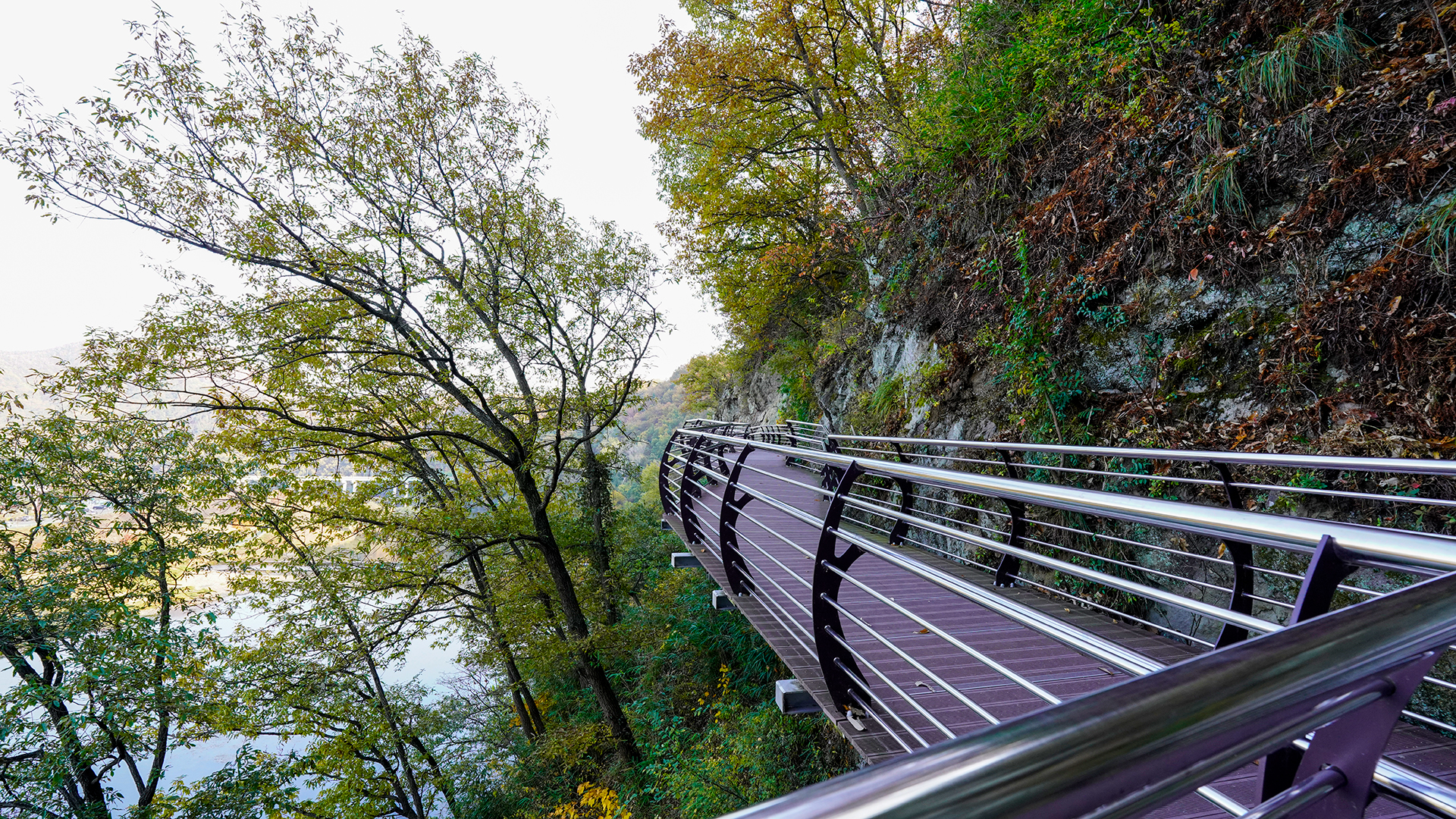 용두산생태공원